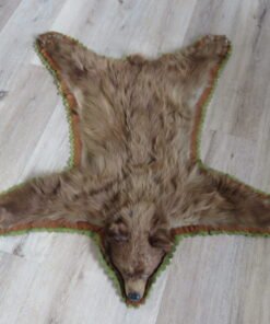 black bear rug