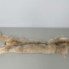 Canadian Lynx Tube Skin