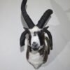 taxidermy ram head for sale