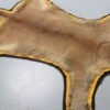 Cougar Skin Rug For Sale