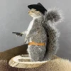 Cowboy Squirrel Taxidermy For Sale