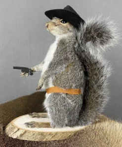 Cowboy Squirrel Taxidermy For Sale