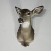 Whitetail Deer Doe Mount