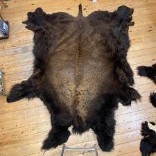 Bison Hide For Sale