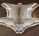 Bobcat Rug For Sale