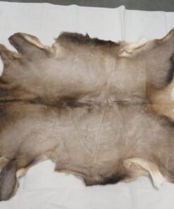 Elk Taxidermy Skin