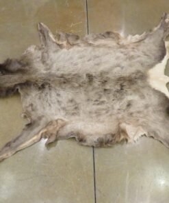 Elk Tanned Hide