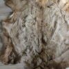 Elk Hide/Skin