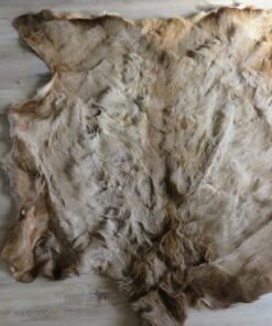 Elk Hide/Skin