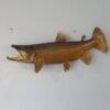 Brown Trout Real Skin Fish Mount. F-105BR