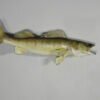 Walleye Taxidermy Mount