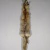 Fox Taxidermy Skin