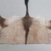 Gemsbok Tanned Back Hide