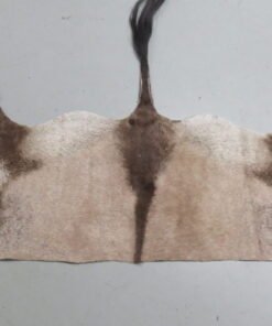 Gemsbok Tanned Back Hide