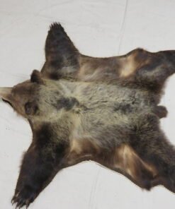 Grizzly Bear Rug For Sale