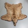 Bear Skin Taxidermy Rug