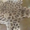Giraffe Hide For Sale