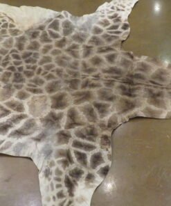 Giraffe Hide For Sale
