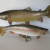 Rainbow Trout Pair Real Skin