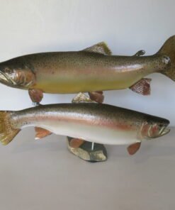 Rainbow Trout Pair Real Skin