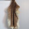 Tanned Mountain Lion Hide For Sale