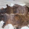 Cow Skin/Hide Brindle Colored.