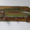 Rainbow Trout Taxidermy