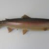 Steelhead Real Skin Taxidermy
