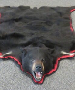 Black Bear Skin Rug