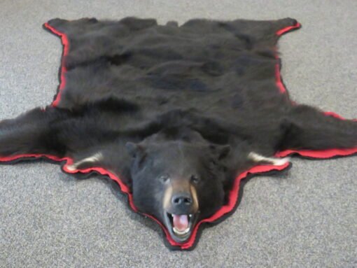 Black Bear Skin Rug