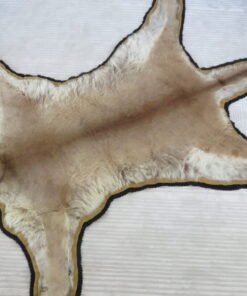 Extra Large Mountain Lion Taxidermy Rug