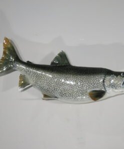 Lake Trout Taxidermy
