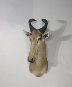 lichtenstein hartebeest european mount