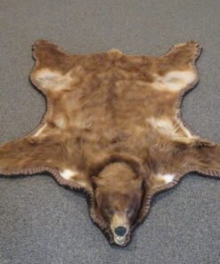 Large Bear Skin Rug