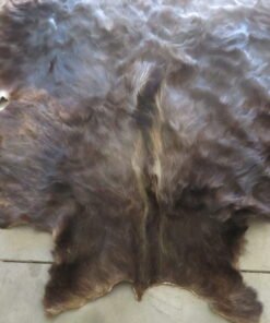 Moose Hide Taxidermy