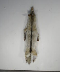 Coyote Tanned Skin/Fur