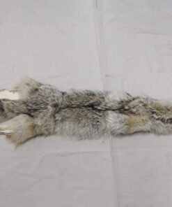Coyote Skin Rug For Sale
