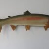 Steelhead Realskin Taxidermy