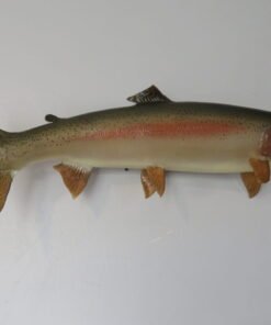 Steelhead Realskin Taxidermy