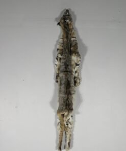 Bobcat Taxidermy Pelt