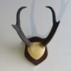 Pronghorn Antelope Horns on Plaque