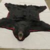 Black Bear taxidermy Rug