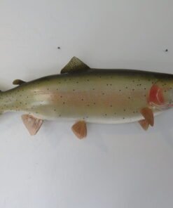 Rainbow Trout Taxidermy Mount
