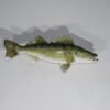 Walleye taxidermy. F-112WA