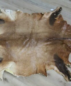 Red Hartebeest tanned Skin