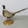 Ringneck Pheasant Standing Mount