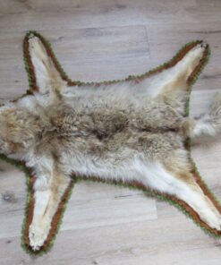 Coyote Taxidermy Rug