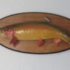 Real Skin Trout on Plaque