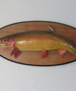 Real Skin Trout on Plaque