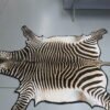 Zebra Rug